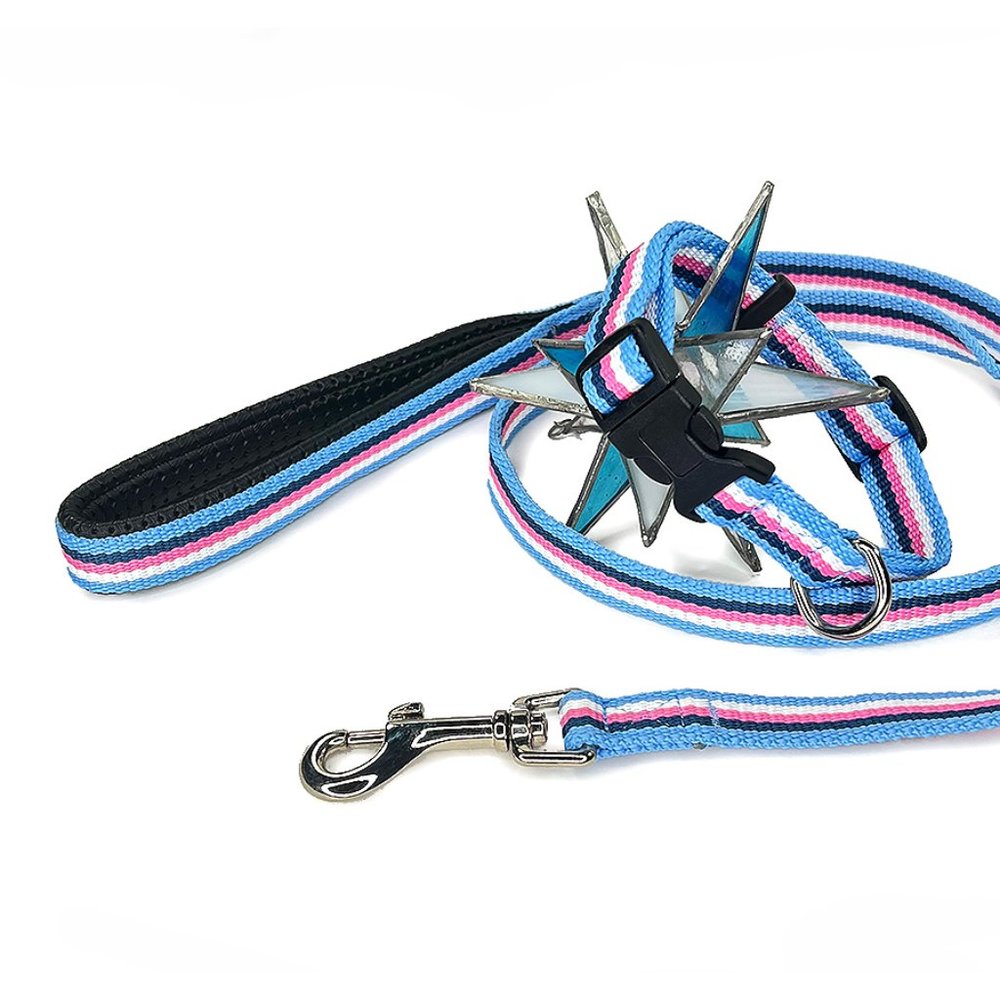 Blue Stripe Nylon/Cotton Collar & Leash Set